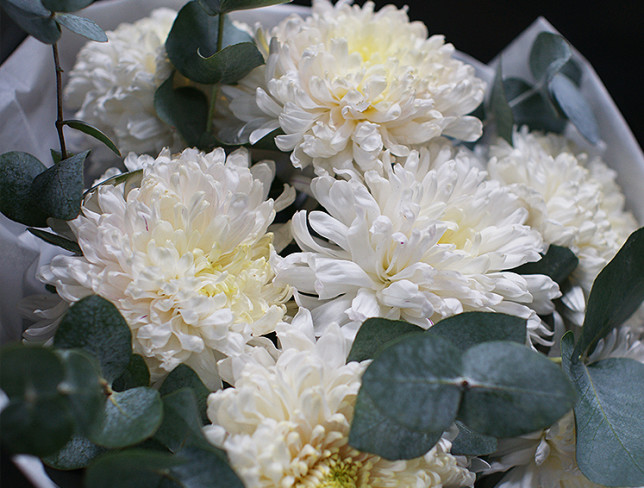 Bouquet of white ball-shaped chrysanthemums photo
